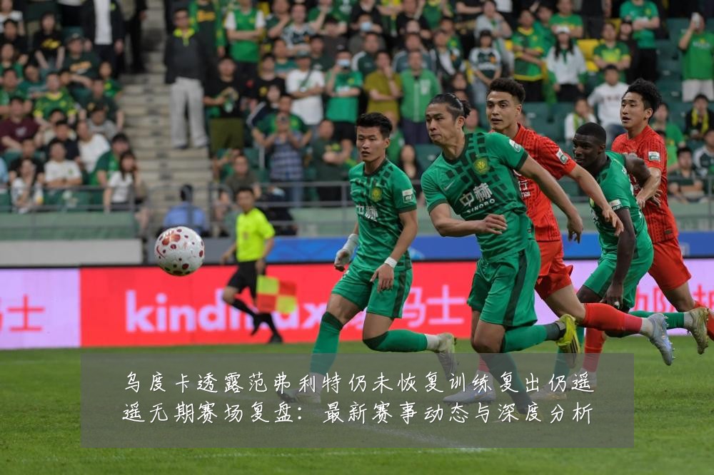 乌度卡透露范弗利特仍未恢复训练复出仍遥遥无期赛场复盘：最新赛事动态与深度分析